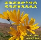 Published on 12/31/2016 ���ֹ�,���󷨵��ӹ�ףʦ�������(33��)