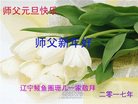 Published on 12/30/2016 ���ֹ�,��½�󷨵��ӹ�ףʦ�������(35��)