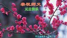 ֹ,󷨵ӹףʦ(23)