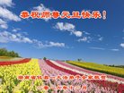 ֹ,ϴ󷨵ӹףʦ(28)