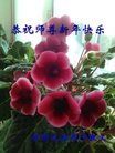 Published on 12/30/2016 ���ֹ�,��½�󷨵��ӹ�ףʦ�������(35��)