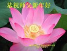 Published on 12/29/2016 ���ֹ�,��½�󷨵��ӹ�ףʦ�������(38��)