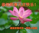 ֹ,ϴ󷨵ӹףʦ(20)