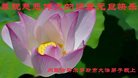 ֹ,ɹŴ󷨵ӹףʦ(21)
