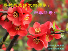 ֹ,󷨵ӹףʦ(21)