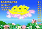 Published on 12/30/2016 ���ֹ�,�������弸���˸ж�ʦ��