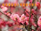 ֹ,󷨵ӹףʦ(18)