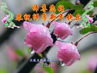 ֹ,󷨵ӹףʦ(18)
