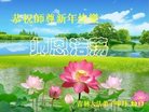 Published on 12/29/2016 ���ֹ�,��½�󷨵��ӹ�ףʦ�������(30��)