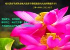 Published on 12/30/2016 ���ֹ�,��½�󷨵��ӹ�ףʦ�������(33��)