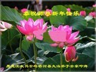 Published on 12/30/2016 ���ֹ�,�������弸���˸ж�ʦ��