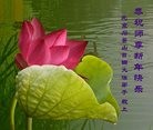 Published on 1/1/2017 ���ֹ�,��30����ҵ�ķ��ֹ�ѧԱ�Ǹж�ʦ��ȶ�