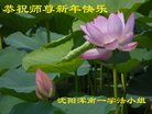 ֹ,󷨵ӹףʦ(21)