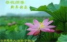 Published on 12/30/2016 ���ֹ�,��������������ʹ��