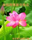 Published on 12/29/2016 ���ֹ�,��½�󷨵��ӹ�ףʦ�������(30��)