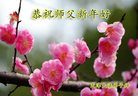 ֹ,󷨵ӹףʦ(21)