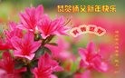 ֹ,󷨵ӹףʦ(18)