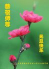 ֹ,ϴ󷨵ӹףʦ(24)