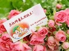 ֹ,󷨵ӹףʦ(28)