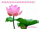 ֹ,ϴ󷨵ӹףʦ(24)