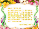 Published on 12/30/2016 ���ֹ�,��½�󷨵��ӹ�ףʦ�������(40��)