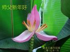 Published on 12/30/2016 ���ֹ�,��½�󷨵��ӹ�ףʦ�������(33��)