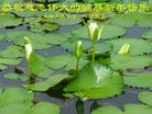 Published on 12/30/2016 ���ֹ�,��½�󷨵��ӹ�ףʦ�������(33��)
