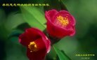Published on 12/30/2016 ���ֹ�,��½�󷨵��ӹ�ףʦ�������(33��)
