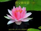Published on 12/30/2016 ���ֹ�,��½�󷨵��ӹ�ףʦ�������(33��)