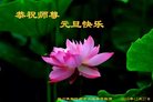 Published on 12/30/2016 ���ֹ�,��½�󷨵��ӹ�ףʦ�������(33��)