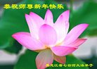 Published on 12/30/2016 ���ֹ�,��½�󷨵��ӹ�ףʦ�������(33��)