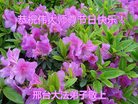 Published on 12/29/2016 ���ֹ�,��½�󷨵��ӹ�ףʦ�������(30��)