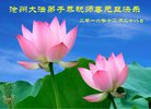 Published on 12/29/2016 ���ֹ�,��½�󷨵��ӹ�ףʦ�������(30��)