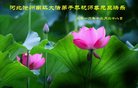 Published on 12/29/2016 ���ֹ�,��½�󷨵��ӹ�ףʦ�������(30��)
