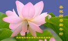 ֹ,󷨵ӹףʦ(20)