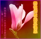 ֹ,󷨵ӹףʦ(20)