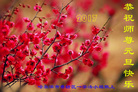 Published on 12/29/2016 ���ֹ�,��½�󷨵��ӹ�ףʦ�������(28��)