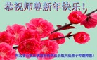 Published on 12/29/2016 ���ֹ�,��½�󷨵��ӹ�ףʦ�������(28��)