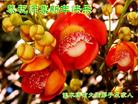 Published on 12/29/2016 ���ֹ�,��½�󷨵��ӹ�ףʦ�������(28��)