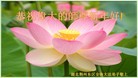 Published on 12/29/2016 ���ֹ�,��½�󷨵��ӹ�ףʦ�������(28��)