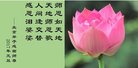 Published on 12/30/2016 ���ֹ�,��½�󷨵��ӹ�ףʦ�������(27��)