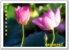 Published on 12/30/2016 ���ֹ�,��½�󷨵��ӹ�ףʦ�������(35��)