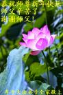 Published on 12/30/2016 ���ֹ�,��½�󷨵��ӹ�ףʦ�������(35��)