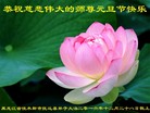 Published on 12/31/2016 ���ֹ�,��½�󷨵��ӹ�ףʦ�������(34��)
