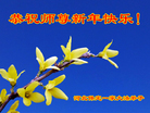 Published on 12/31/2016 ���ֹ�,��½�󷨵��ӹ�ףʦ�������(34��)