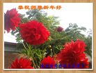 Published on 12/30/2016 ���ֹ�,��½�󷨵��ӹ�ףʦ�������(27��)