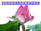 Published on 12/30/2016 ���ֹ�,��½�󷨵��ӹ�ףʦ�������(27��)