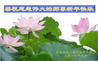 Published on 12/30/2016 ���ֹ�,��½�󷨵��ӹ�ףʦ�������(27��)