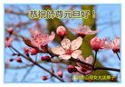 Published on 12/31/2016 ���ֹ�,��½�󷨵��ӹ�ףʦ�������(41��)