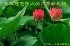 Published on 12/31/2016 ���ֹ�,��½�󷨵��ӹ�ףʦ�������(34��)